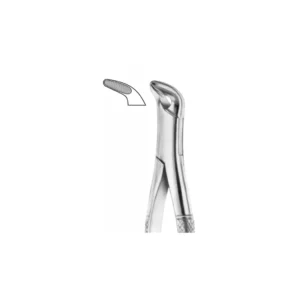 EXTRACTION FOCEPS “AMERICAN PATTERN